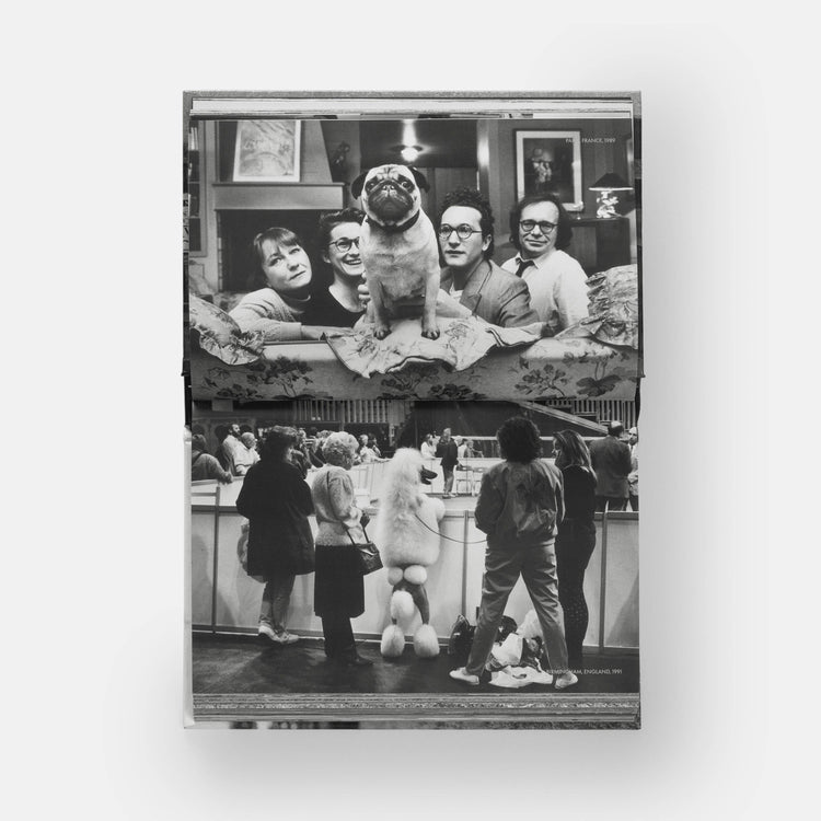HundHunde - REBEL FIN CO.