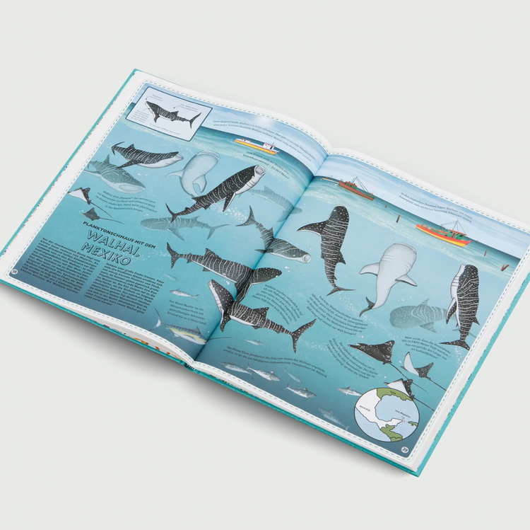 DER ATLAS DER OZEANE - Unglaubliche Abenteuer und wunderbare Tiere auf und unter Wasser