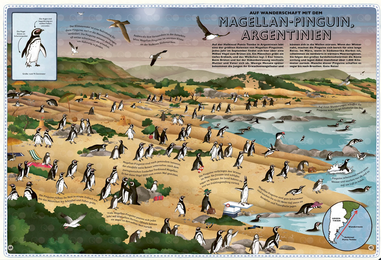 DER ATLAS DER OZEANE - Unglaubliche Abenteuer und wunderbare Tiere auf und unter Wasser