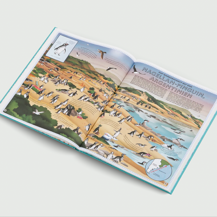 DER ATLAS DER OZEANE - Unglaubliche Abenteuer und wunderbare Tiere auf und unter Wasser
