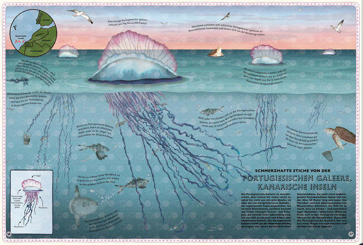 DER ATLAS DER OZEANE - Unglaubliche Abenteuer und wunderbare Tiere auf und unter Wasser