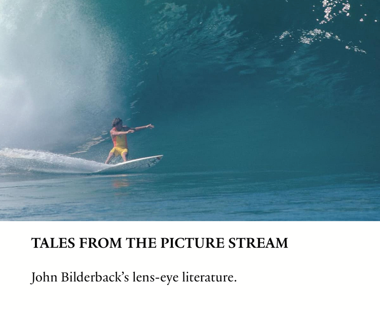 THE SURFER'S JOURNAL 33.1