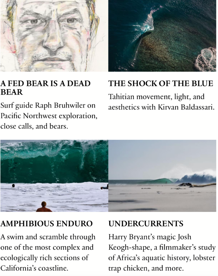 THE SURFER'S JOURNAL 33.1