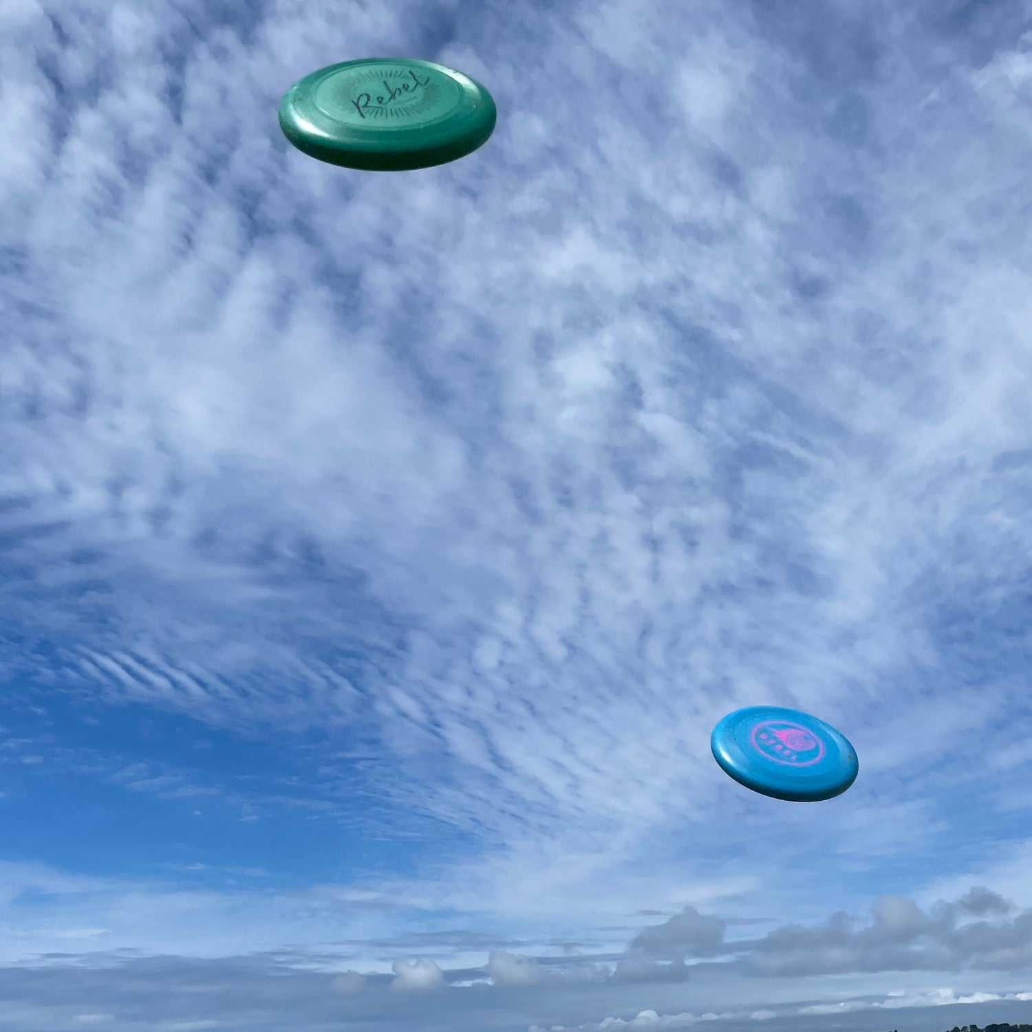 Frisbee aus recycelten Fischernetzen - REBEL FIN CO.