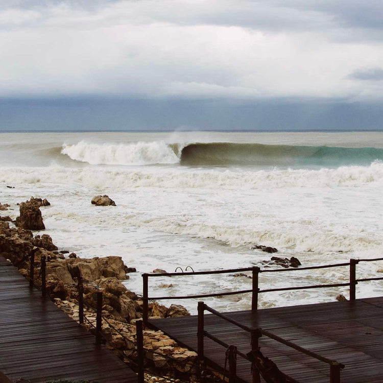 THE SURFER'S JOURNAL 33.5