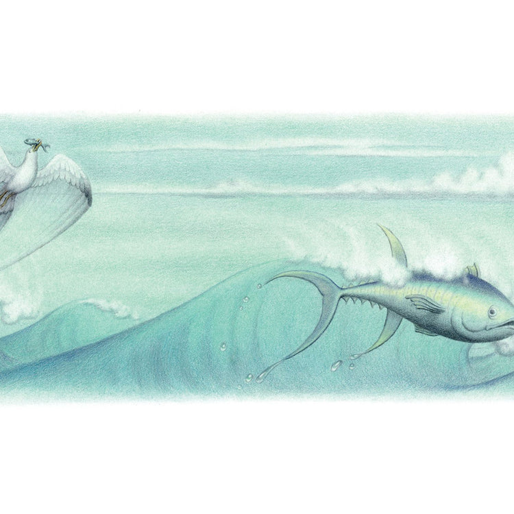 THE SURFER'S JOURNAL 33.4