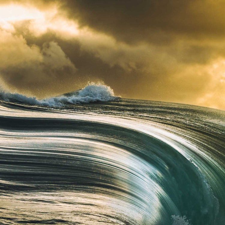 THE SURFER'S JOURNAL 33.4