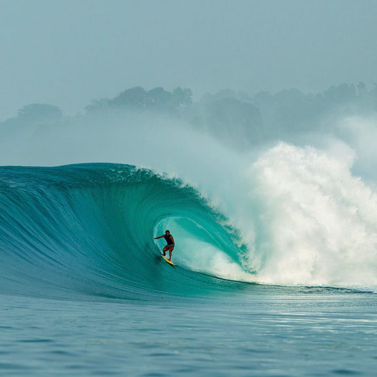 THE SURFER'S JOURNAL 33.2