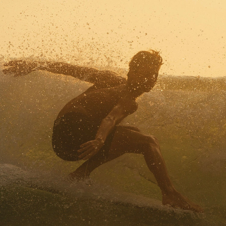 THE SURFER'S JOURNAL 34.1