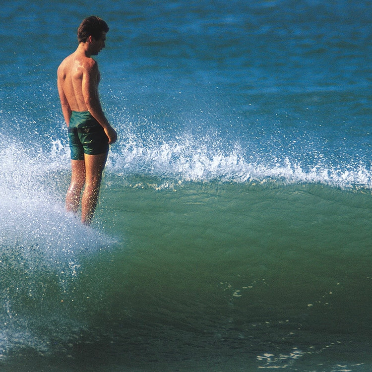 THE SURFER'S JOURNAL 34.2