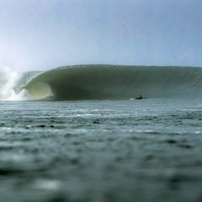 THE SURFER'S JOURNAL 34.2