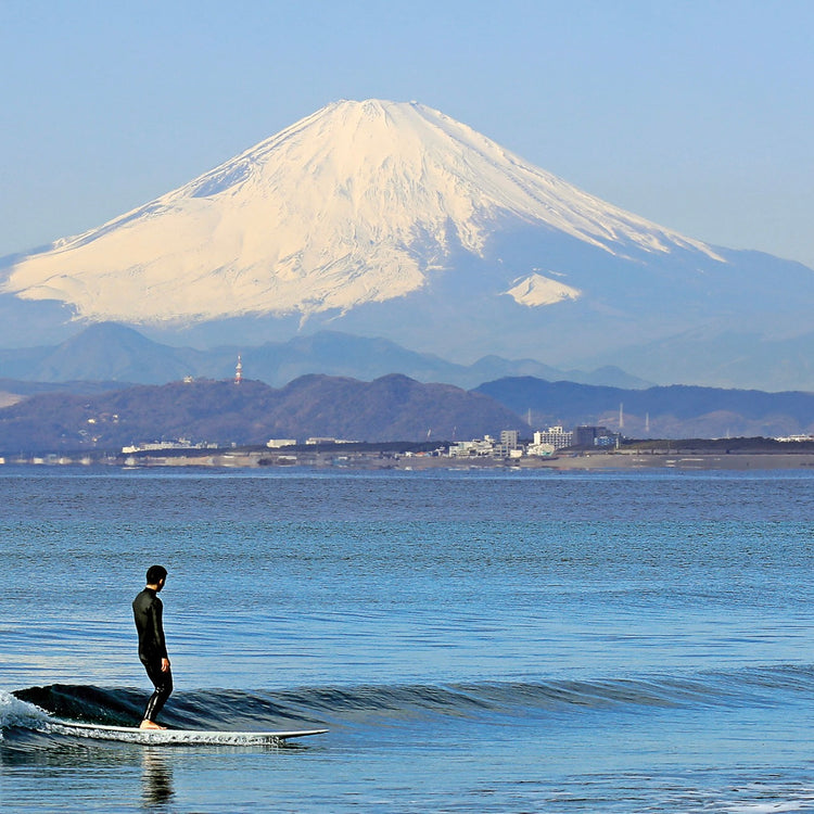 THE SURFER'S JOURNAL 34.2