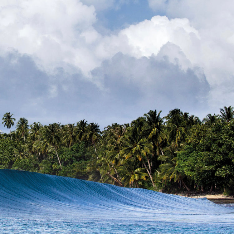 THE SURFER'S JOURNAL 34.2