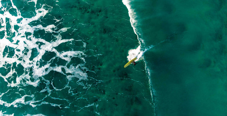 THE SURFER'S JOURNAL 34.3