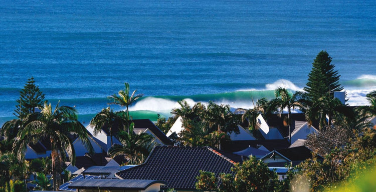 THE SURFER'S JOURNAL 34.3