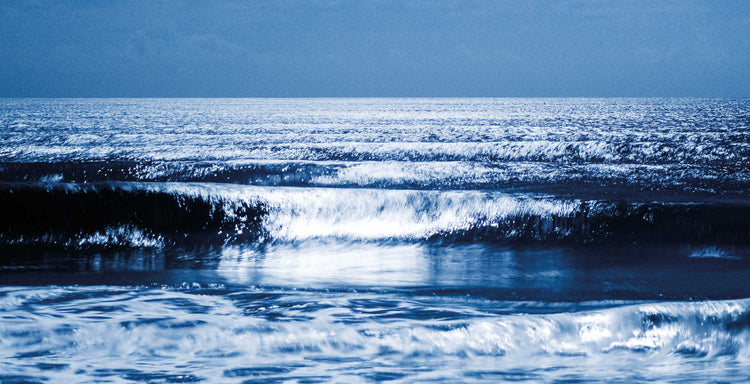 THE SURFER'S JOURNAL 34.3