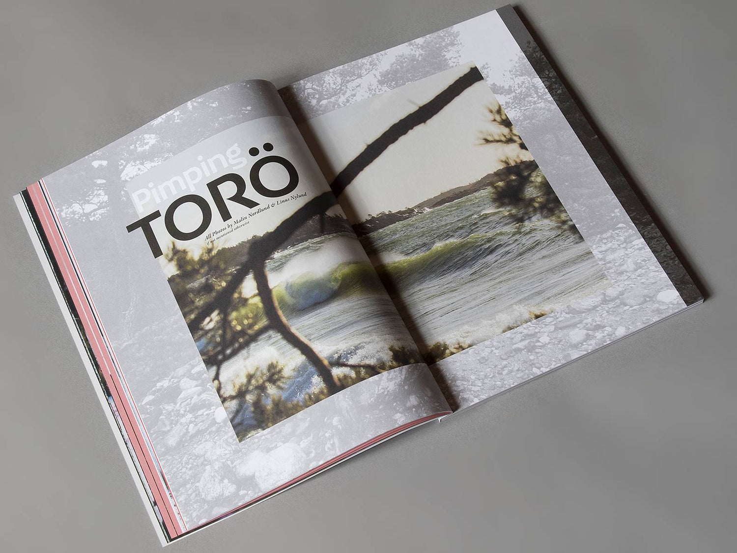NORDIC SURF MAG nr. 31 - REBEL FIN CO.