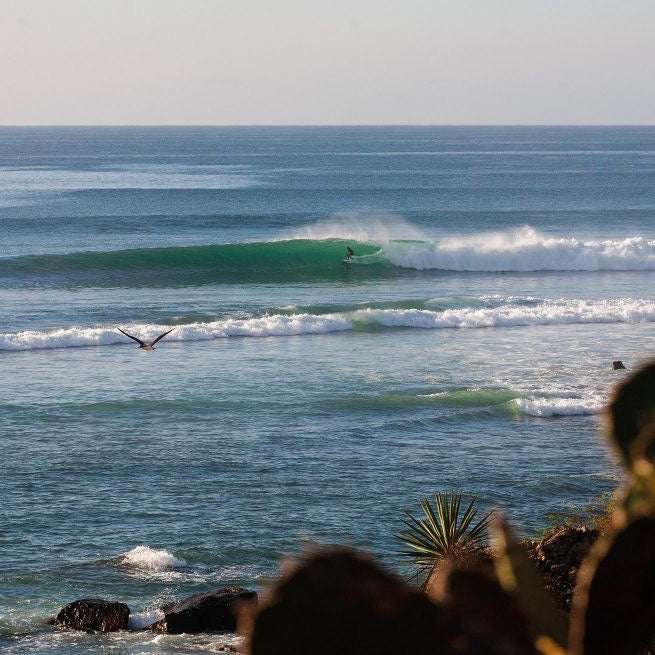 THE SURFER'S JOURNAL 30.2 - REBEL FIN CO.