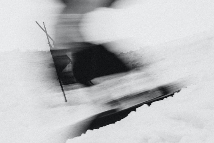 Followers of the Flow - REBEL FIN CO.