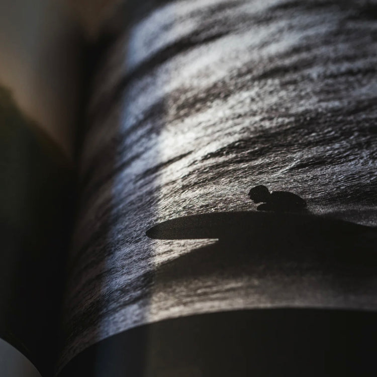 Lost Not Found | Vol. 2.2. - REBEL FIN CO.