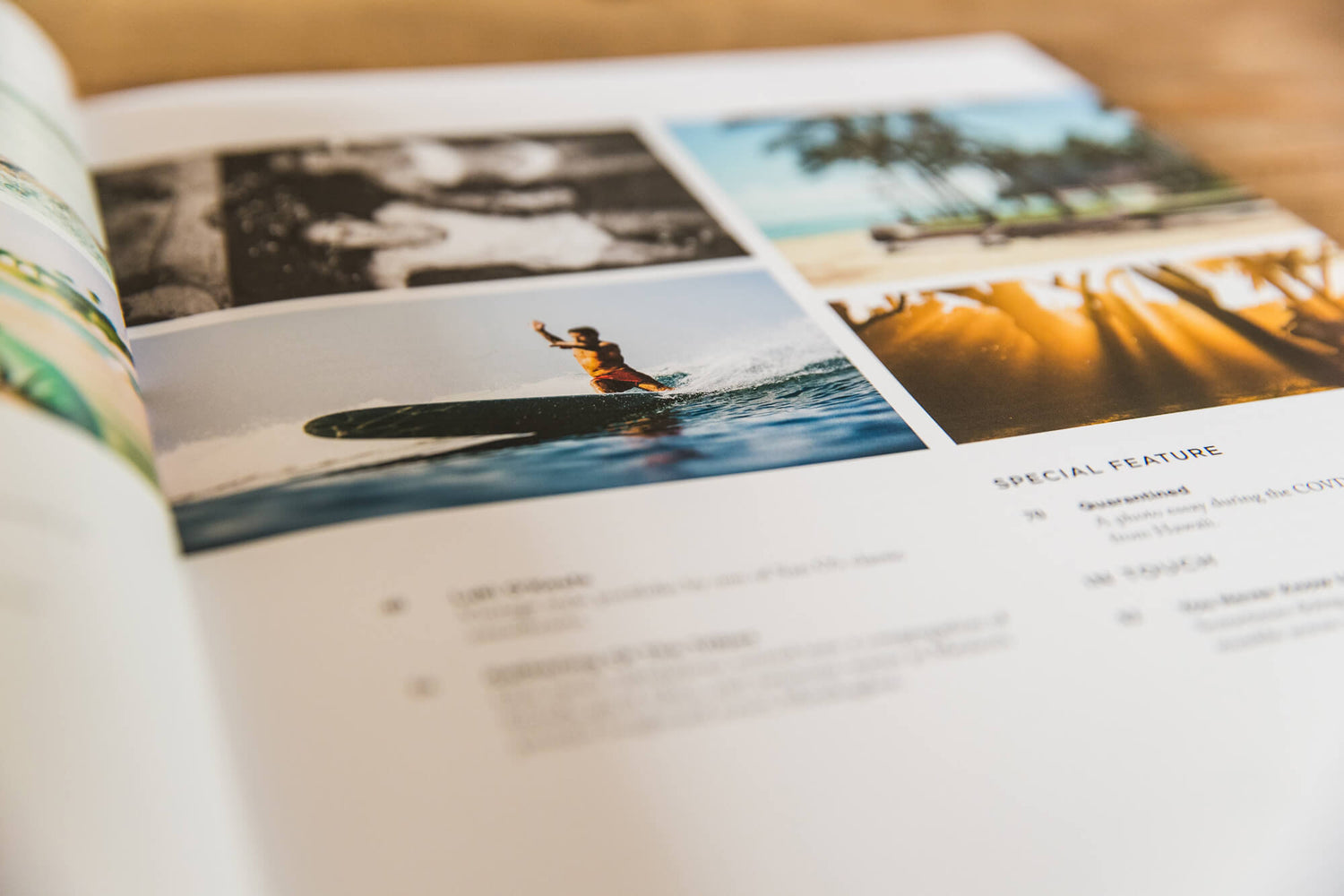 Lost Not Found | Vol. 1,  Issue 1 - REBEL FIN CO.