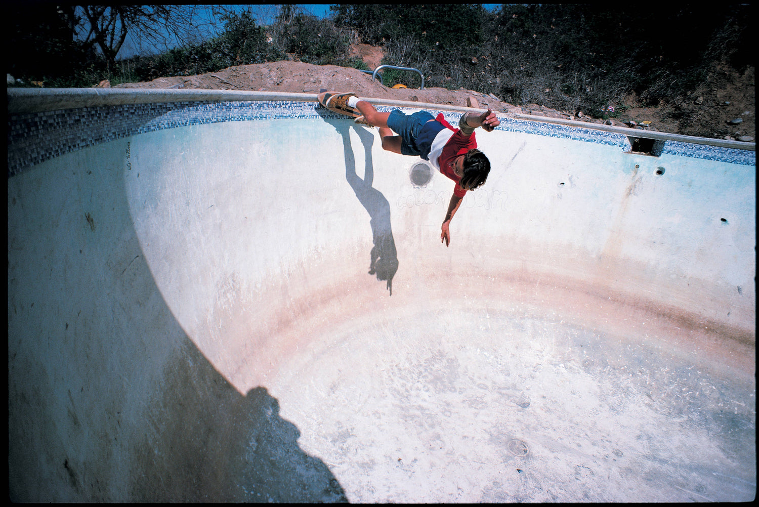 Flex Appeal - REBEL FIN CO.