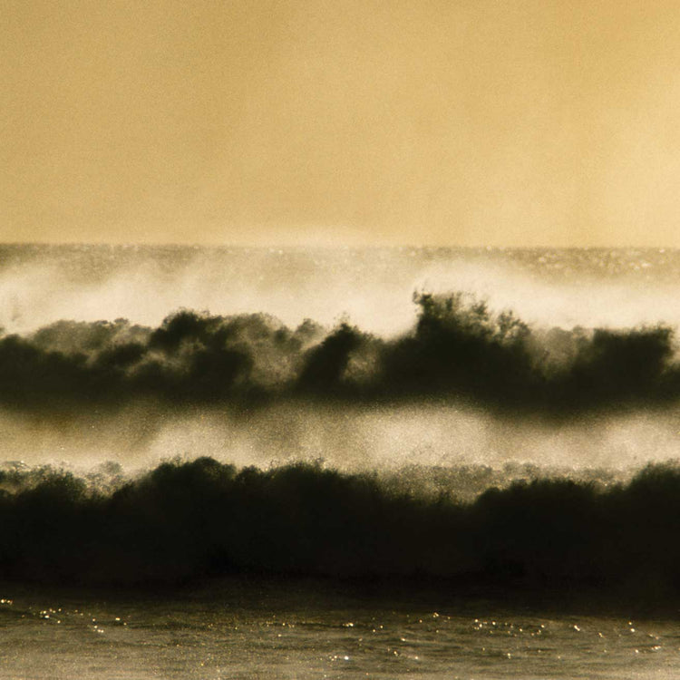 THE SURFER'S JOURNAL 35.3