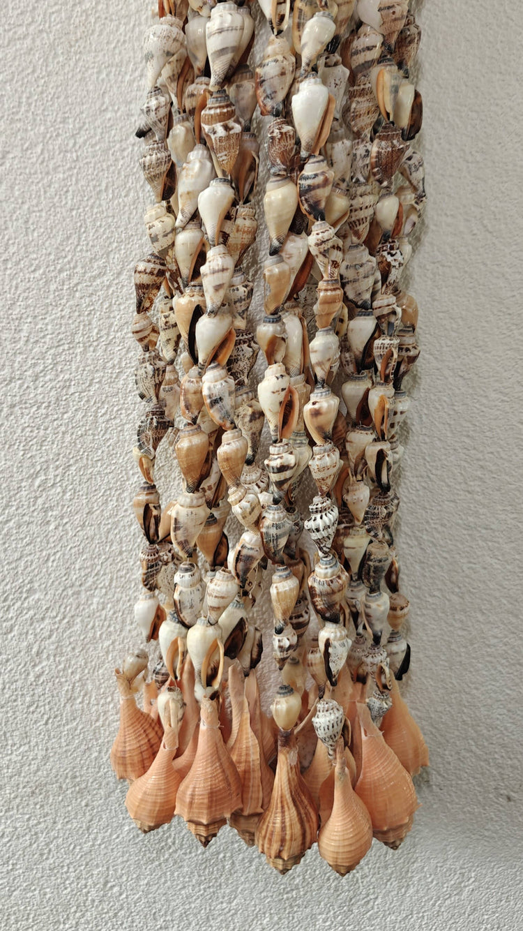 SHELL HANGER