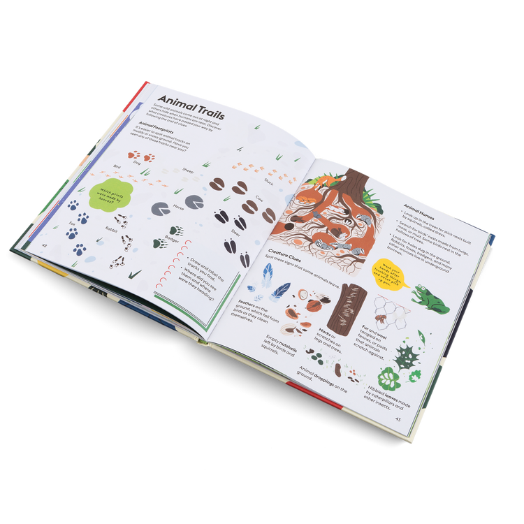 LET`S PLAY OUTDOORS! - Exploring Nature for Children