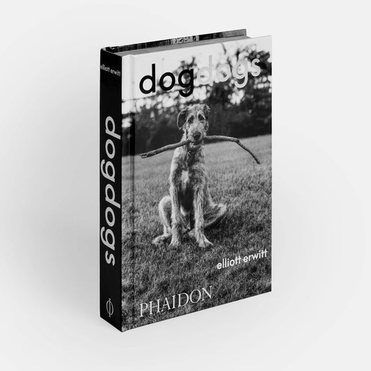 HundHunde - REBEL FIN CO.