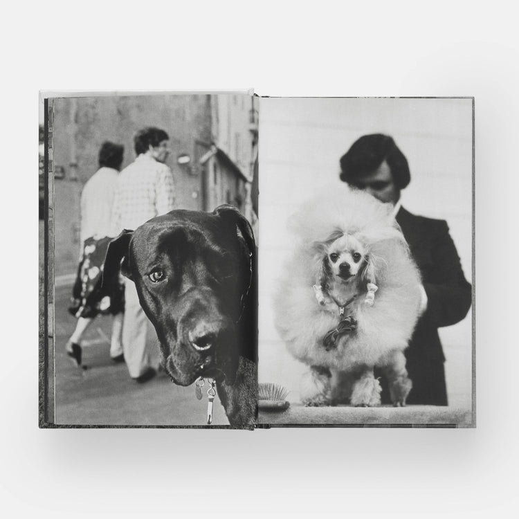 HundHunde - REBEL FIN CO.