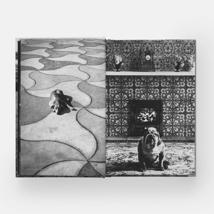 HundHunde - REBEL FIN CO.