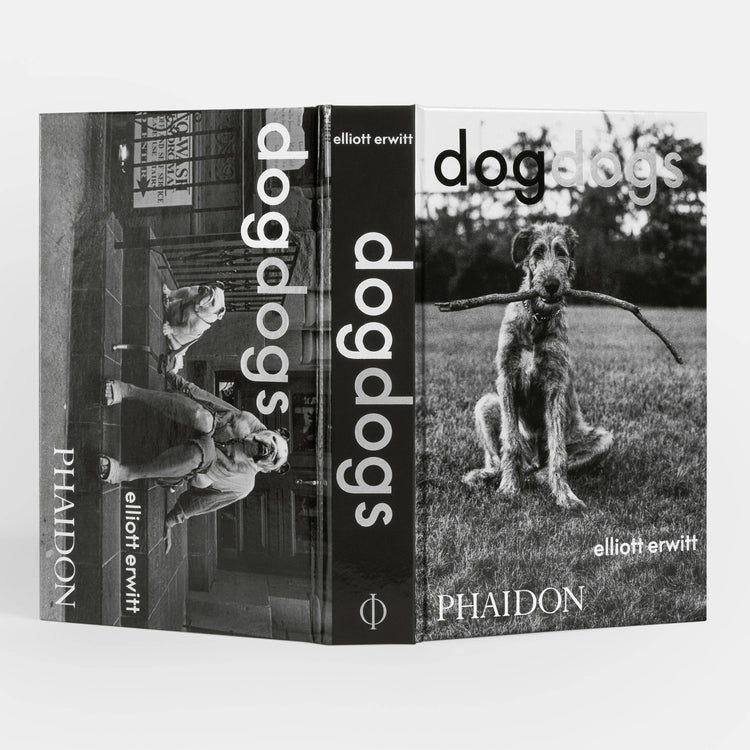 HundHunde - REBEL FIN CO.