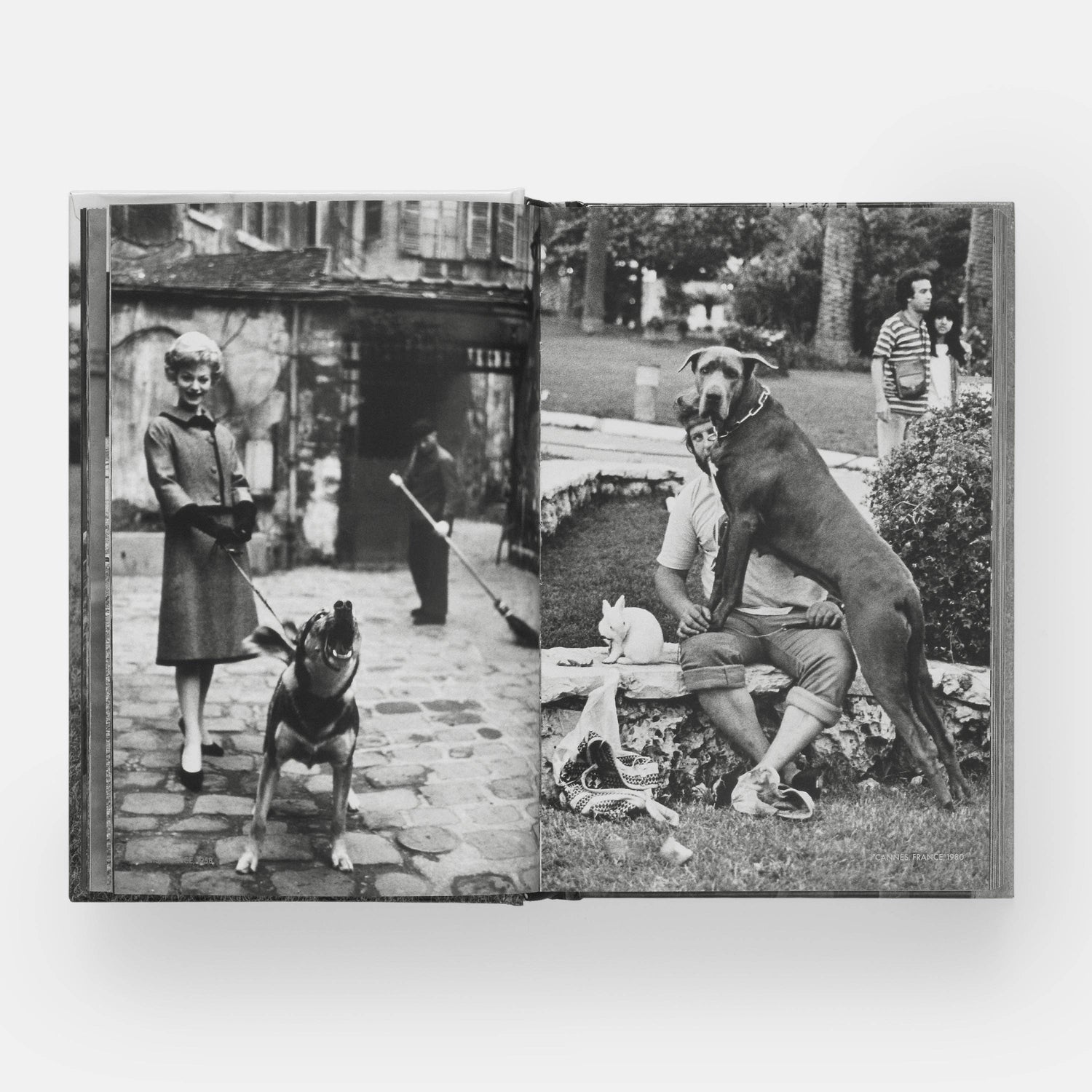 HundHunde - REBEL FIN CO.