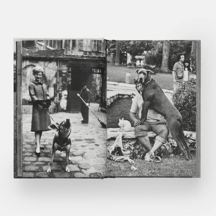 HundHunde - REBEL FIN CO.