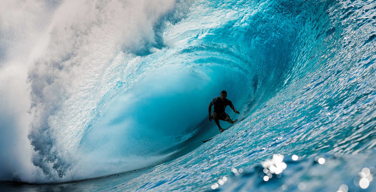 THE SURFER'S JOURNAL 34.6