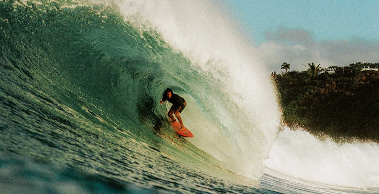 THE SURFER'S JOURNAL 34.6