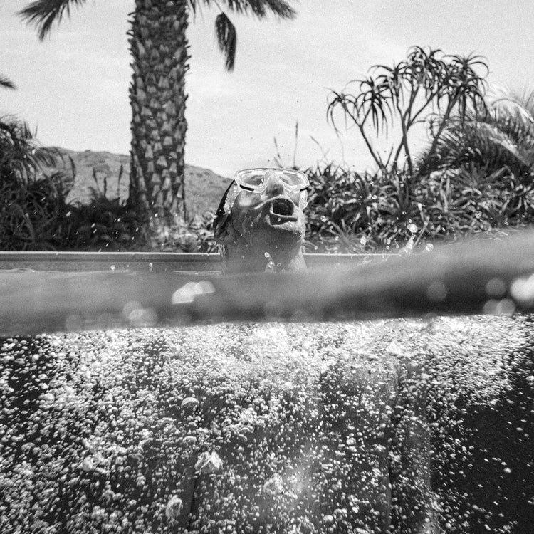 THE SURFER'S JOURNAL 35.2 - REBEL FIN CO.
