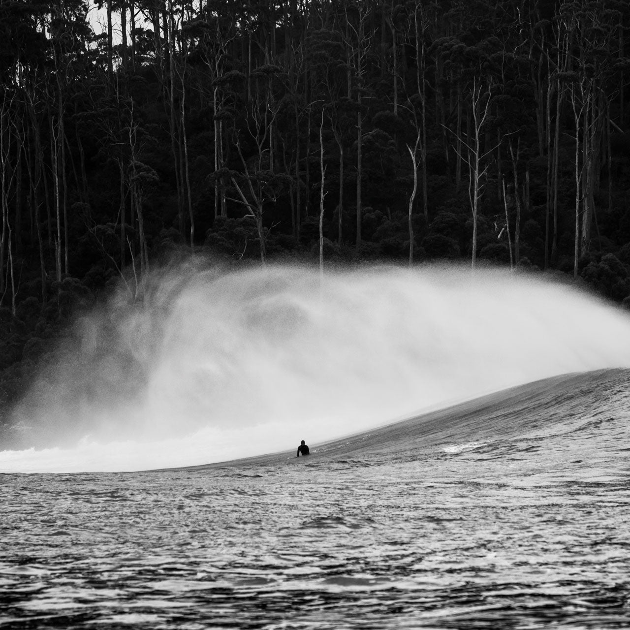 THE SURFER'S JOURNAL 35.2 - REBEL FIN CO.