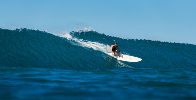 THE SURFER'S JOURNAL 34.6