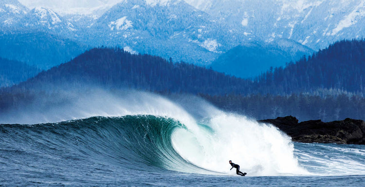 THE SURFER'S JOURNAL 34.6