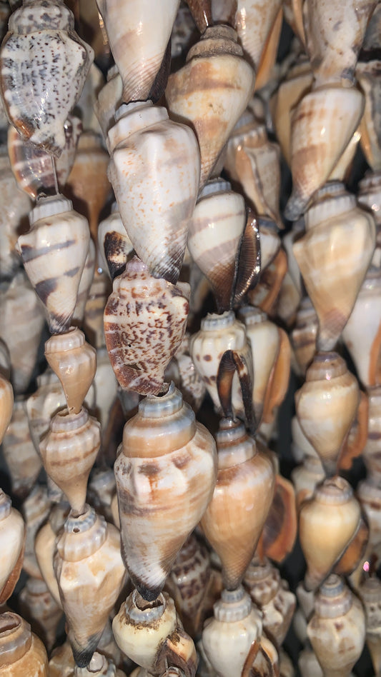 SHELL HANGER