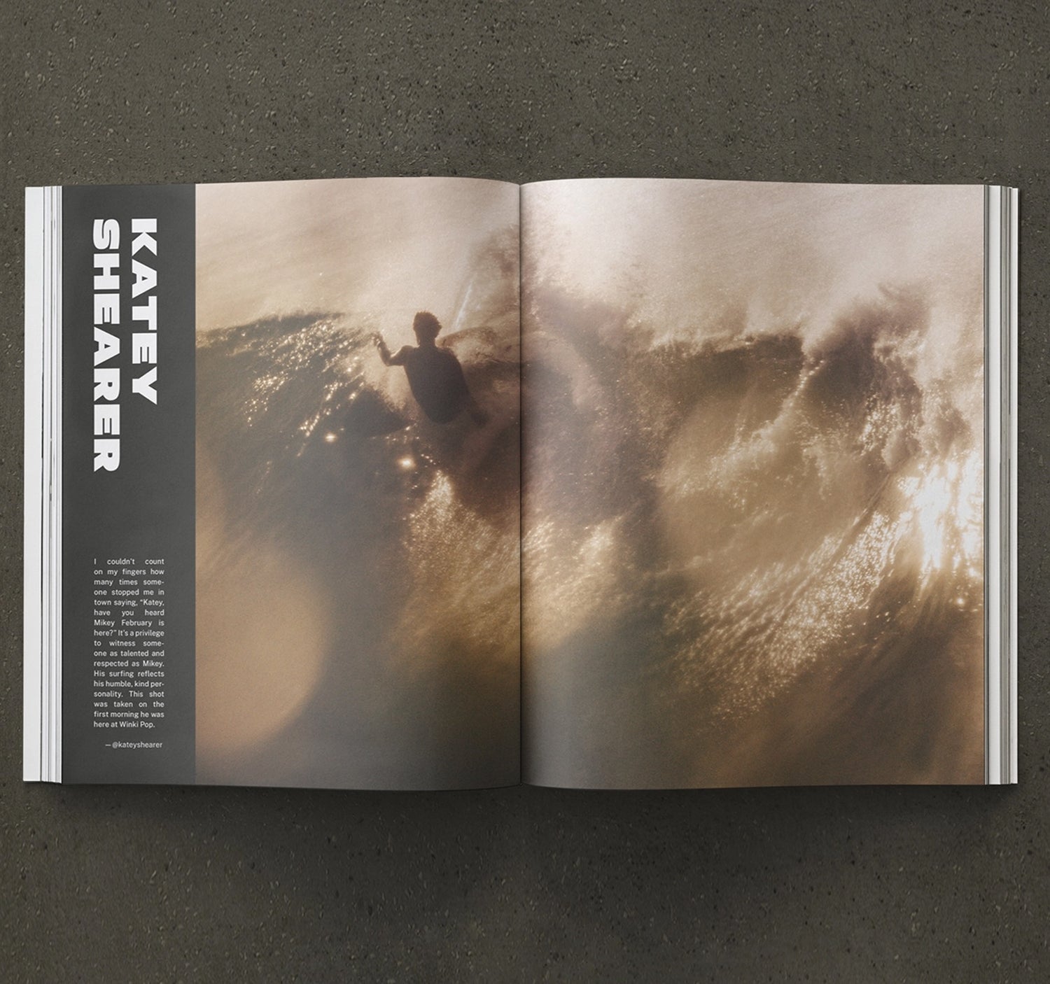 SHESEAS #3 - REBEL FIN CO.