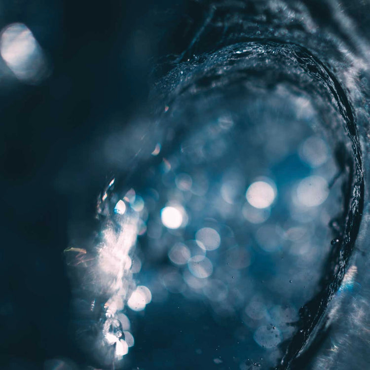 THE SURFER'S JOURNAL 35.1