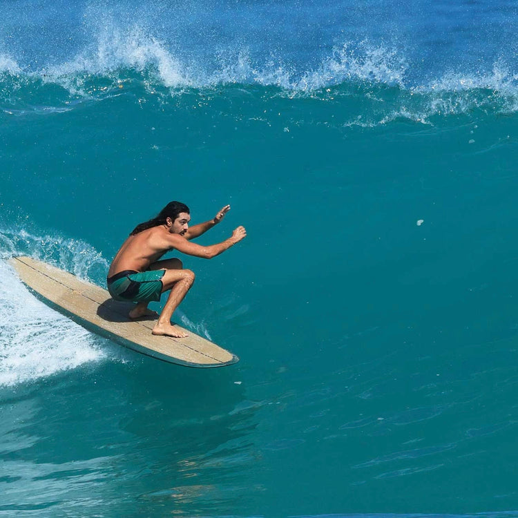 THE SURFER'S JOURNAL 35.1