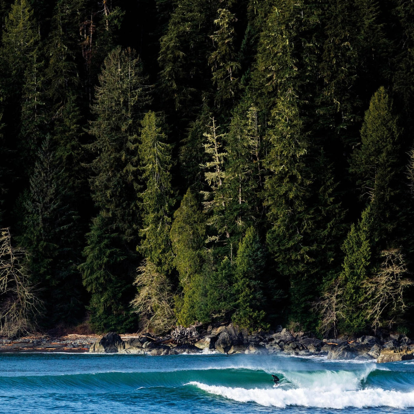 THE SURFER'S JOURNAL 35.5 - REBEL FIN CO.