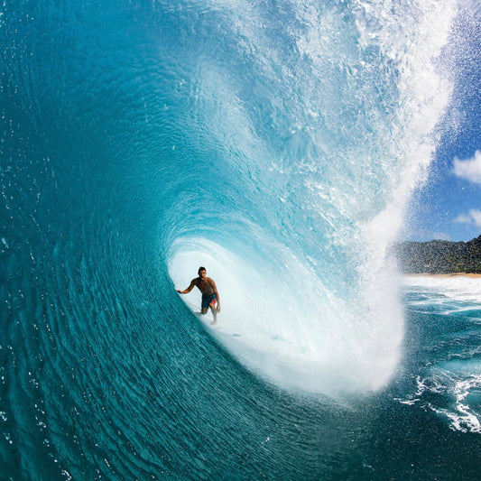 THE SURFER'S JOURNAL 35.4