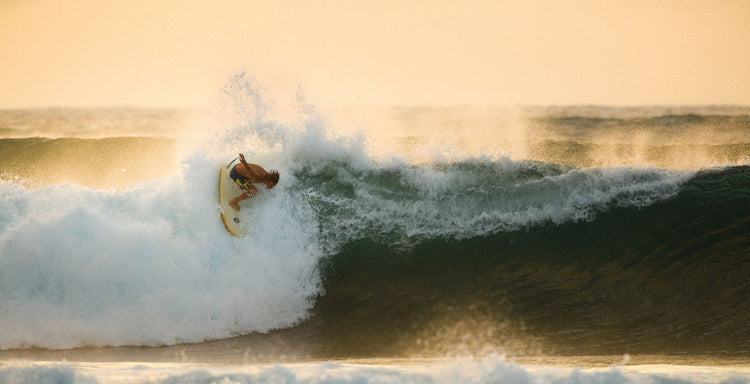 THE SURFER'S JOURNAL 34.4
