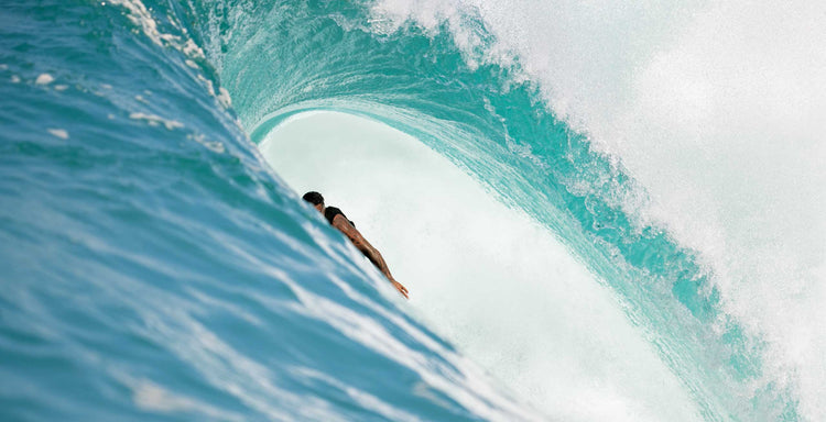 THE SURFER'S JOURNAL 34.4