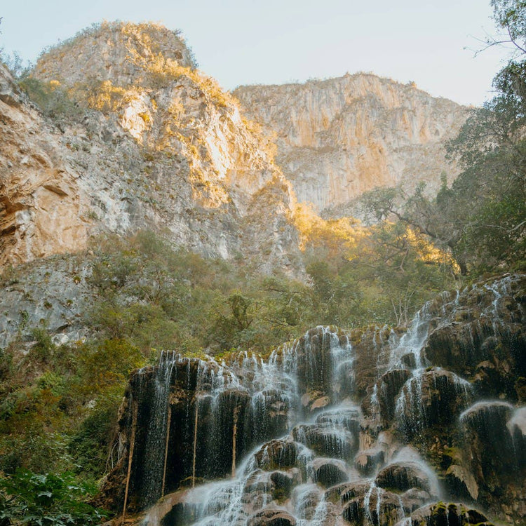 THE NATURE OF SWIMMING -  unique locations & swimming experiences
